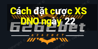 Cách đặt cược XSDNO ngày 22