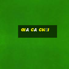 giá cá chọi