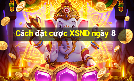 Cách đặt cược XSND ngày 8