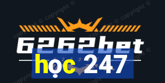 học 247