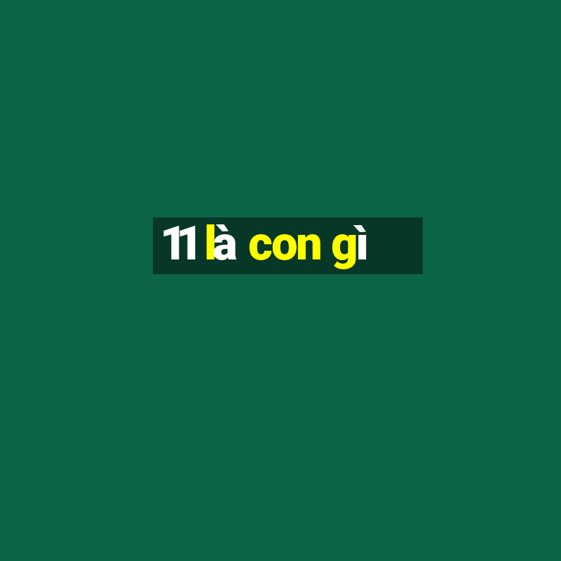 11 là con gì