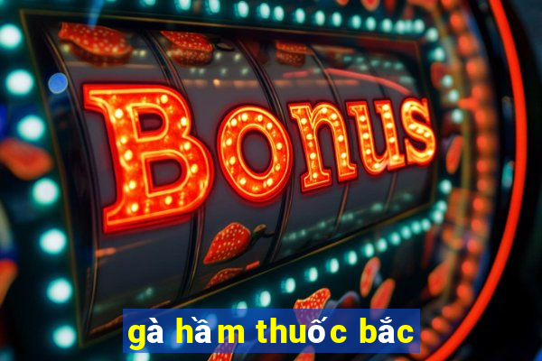 gà hầm thuốc bắc