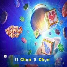 11 Chọn 5 Chọn 2 Bảng cá cược