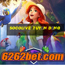 socolive tuyển dụng