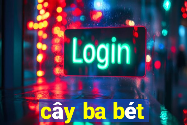 cây ba bét