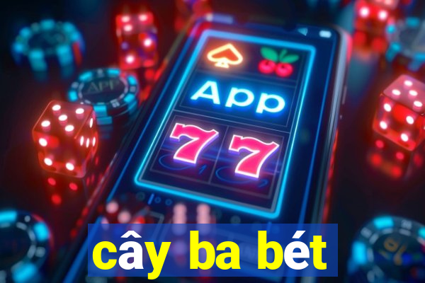 cây ba bét