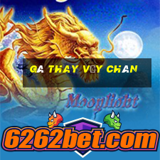 gà thay vảy chân