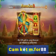 Cam kết m.for88