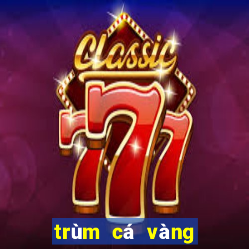 trùm cá vàng cổng game bắn cá hàng đầu