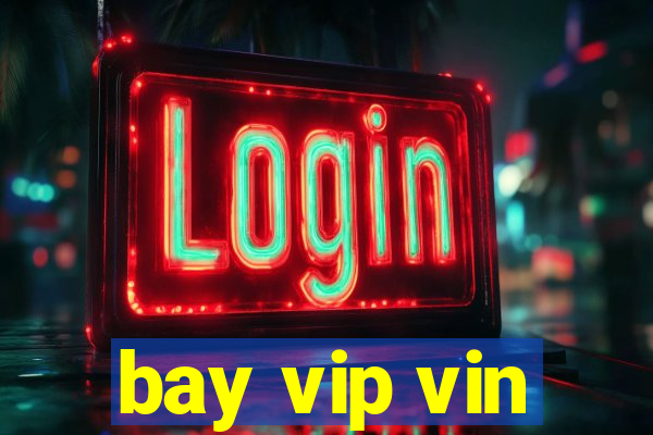 bay vip vin