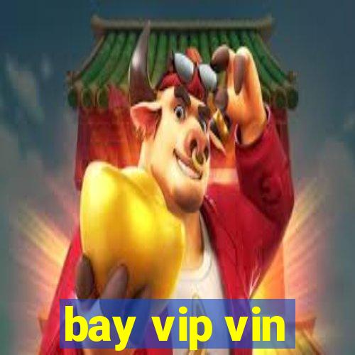 bay vip vin