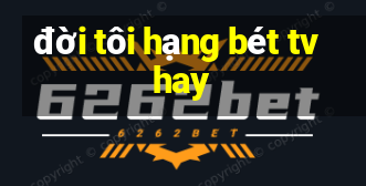 đời tôi hạng bét tvhay