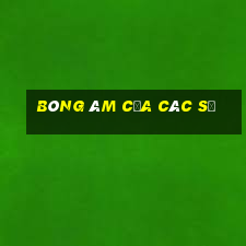 bóng âm của các số