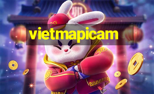 vietmapicam