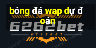 bóng đá wap dự đoán