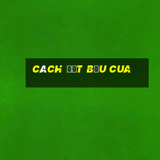 cách đặt bầu cua