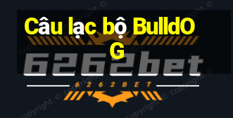 Câu lạc bộ BulldOG