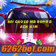 soi cau lo mb rong bach kim