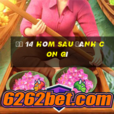 đề 14 hôm sau đánh con gì