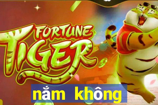 nắm không được thì buông