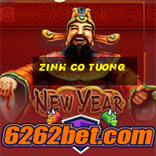 zinh co tuong