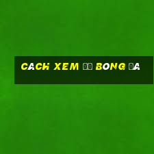 cách xem độ bóng đá