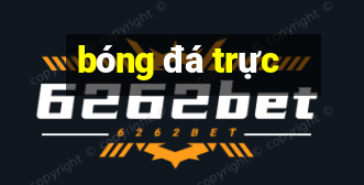 bong da truc