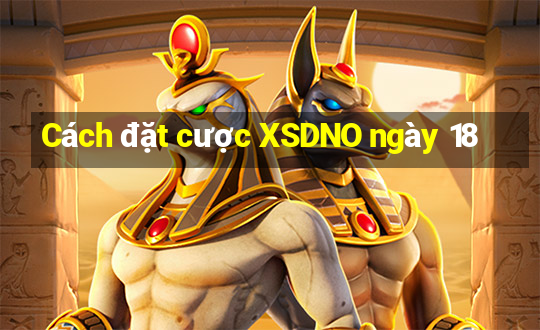 Cách đặt cược XSDNO ngày 18