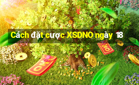 Cách đặt cược XSDNO ngày 18