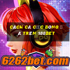 cách cá cược bóng đá trên 188bet