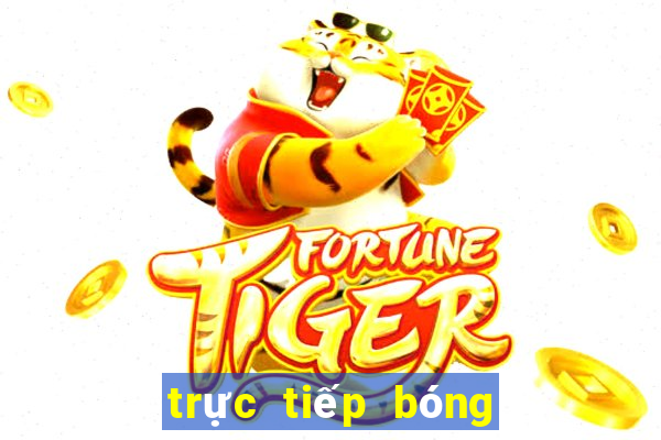 trực tiếp bóng đá xoilac