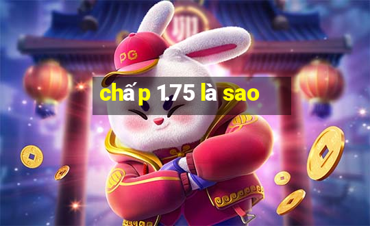 chấp 1.75 là sao