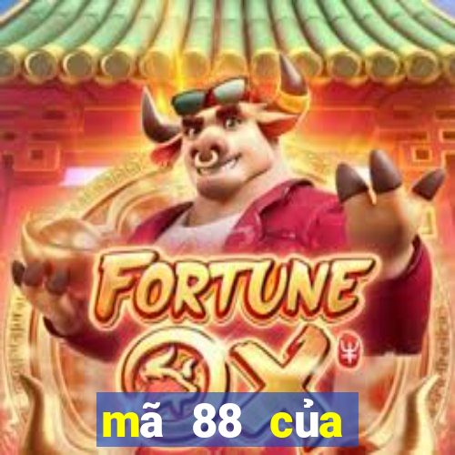 mã 88 của nước nào