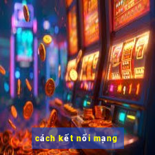 cách kết nối mạng