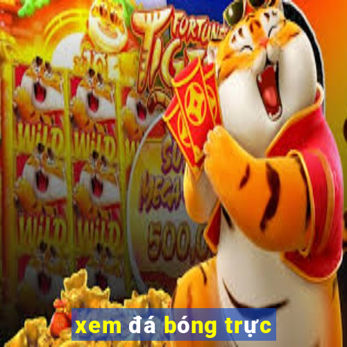 xem đá bóng trực