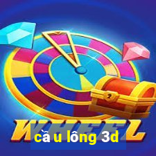 cầu lông 3d