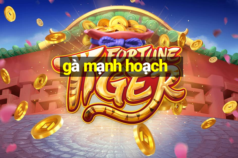 gà mạnh hoạch