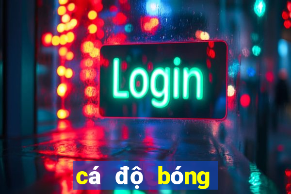 cá độ bóng đá online