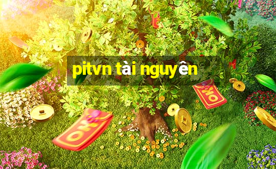 pitvn tài nguyên