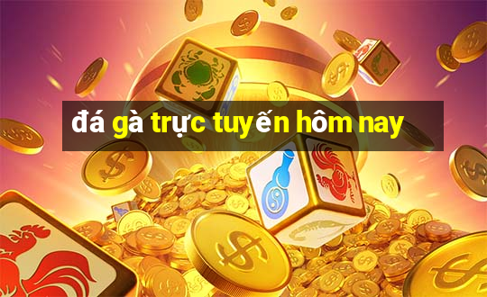 đá gà trực tuyến hôm nay