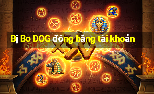 Bị Bo DOG đóng băng tài khoản