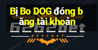 Bị Bo DOG đóng băng tài khoản