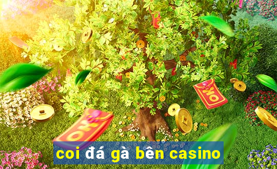 coi đá gà bên casino