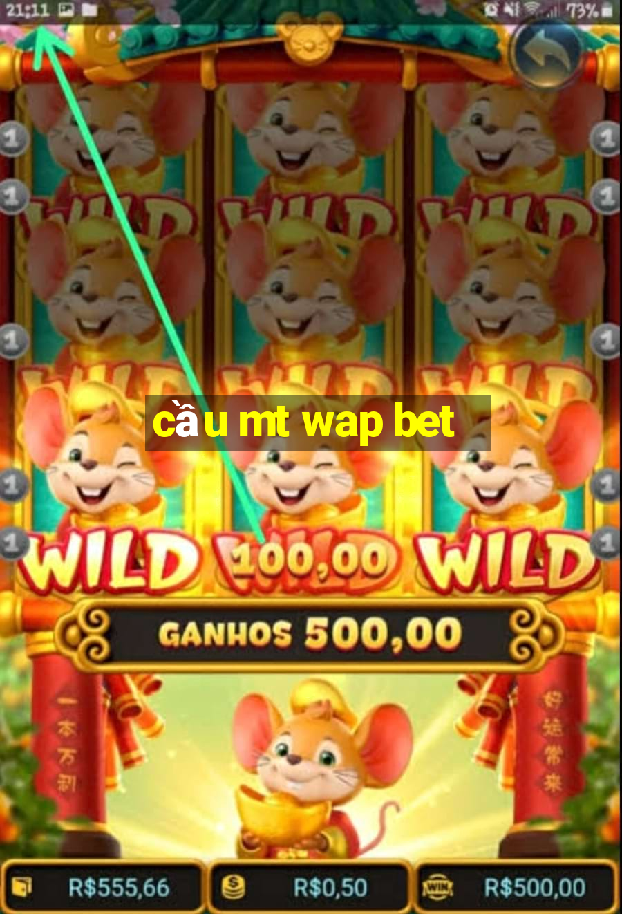 cầu mt wap bet