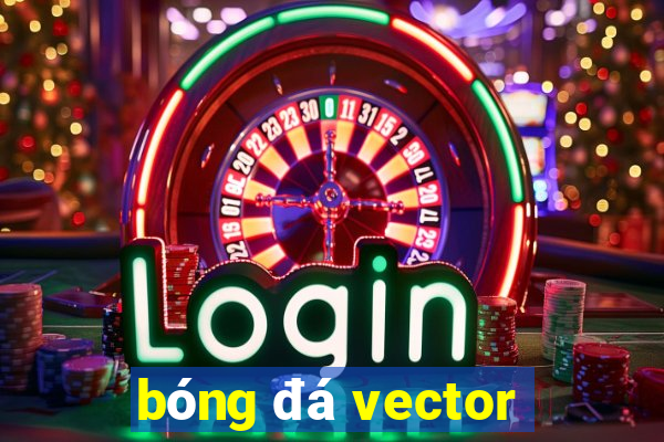 bóng đá vector