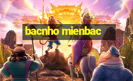 bacnho mienbac