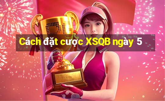 Cách đặt cược XSQB ngày 5