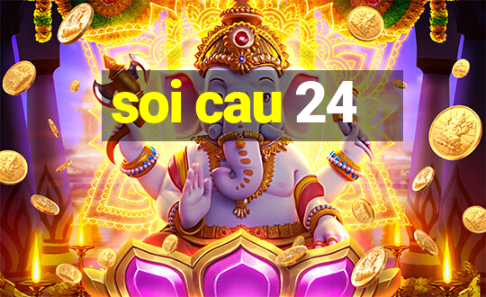 soi cau 24