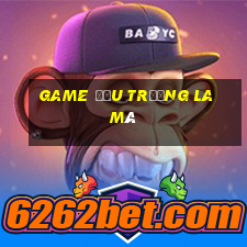 game đấu trường la mã