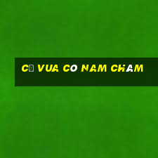 cờ vua có nam châm